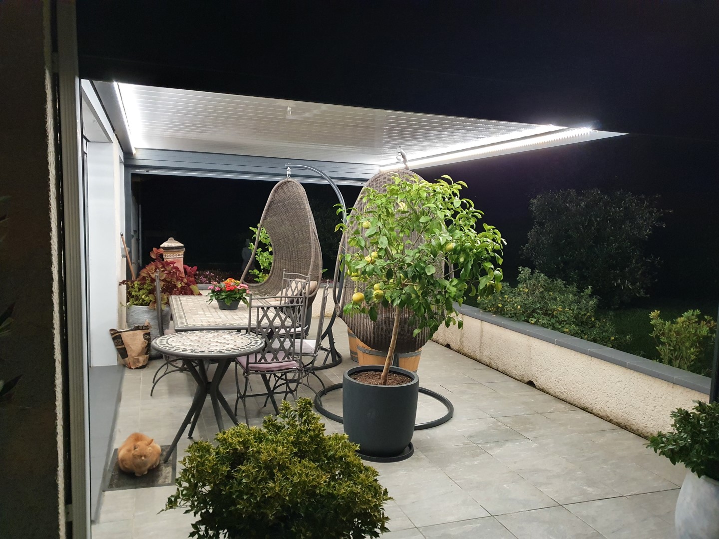 Pergola 30